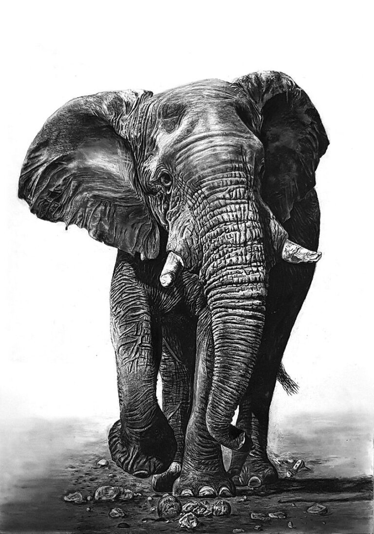 WhatsApp Image 2026 01 09 At 8.14.29 PM 768x1097